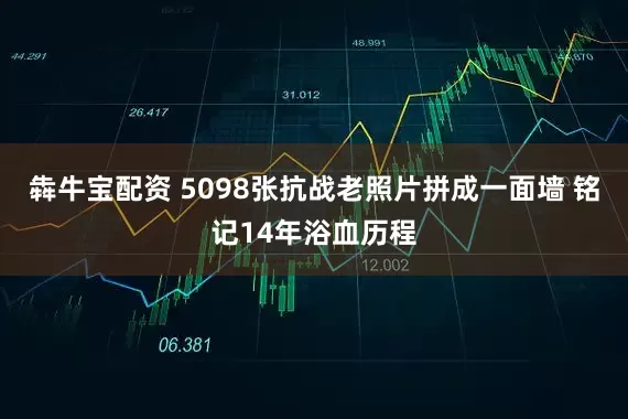 犇牛宝配资 5098张抗战老照片拼成一面墙 铭记14年浴血历程