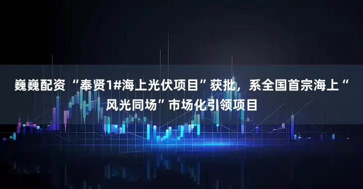 巍巍配资 “奉贤1#海上光伏项目”获批，系全国首宗海上“风光同场”市场化引领项目